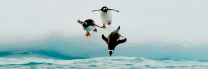 Upcoming Live Webinars